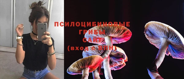 кокс Михайлов