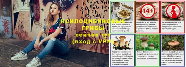 ECSTASY Михайловск